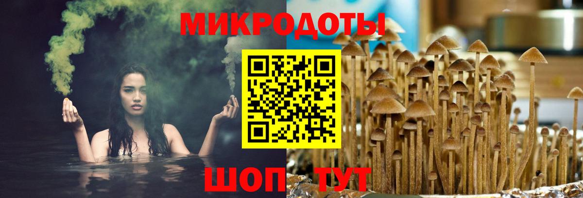 Псилоцибиновые грибы MAGIC MUSHROOMS Холмск